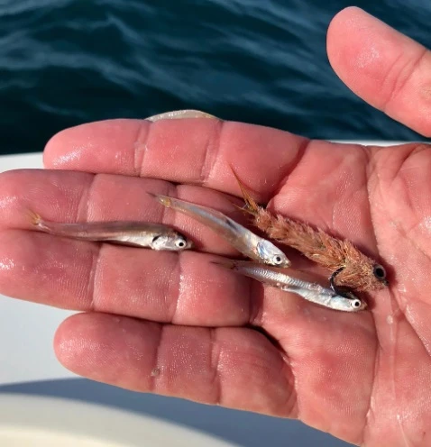 Chocklett’s Micro Finesse Changer Streamer Tan 4,5cm 6 Chocklett’s Micro Finesse Changer Streamer Tan 4,5cm - Afbeelding 4