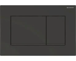 GEBERIT Bedieningspaneel Sigma30 Zwart 115.883.16.1