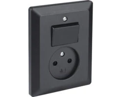 Q-LINK Inbouw Basiselement Combinatie Wandcontactdoos (wcd) 1-voudig + Wisselschakelaar Zwart