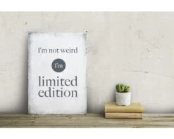 GROSFILLEX Kunststof Wandpaneel Element 3D New-york Wit -Safarica Sioux-winkel DV 8 6662859 02 4c DE 20200204164656