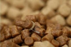 Guru - Super LWG Ready Rig 9 Guru - Super LWG Ready Rig -Safarica Sioux-winkel slwg pellet close