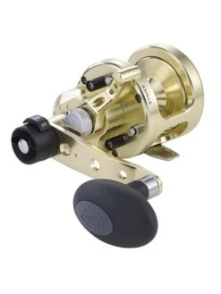 WFT Deep Water Light 'W' 2-Speed, 12 LH